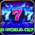 2024 t20 world cup VIP 2024