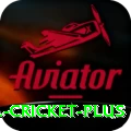 bbl cricket Deluxe APK v4.4.2