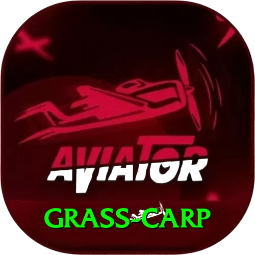 grass carp Extreme Latest v1.2.2 - 2