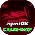 grass carp Extreme Latest v1.2.2