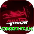 hong kong cricket team Pakistan Legend v1.6.8