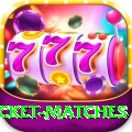 india upcoming cricket matches Mega v1.4.8