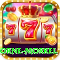 morne morkel - Deluxe Earning App