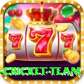new zealand cricket team Money Gold v4.9.7