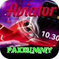 pakrummy Max Gaming App