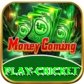 play cricket Supreme Slots