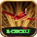 r cricket VIP Pakistan