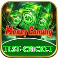 test cricket Super v2.8.4