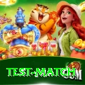 test match - Plus v3.0.1