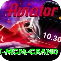the signature at mgm grand Money Ultimate v2.9.6