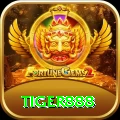 tiger888 Live Casino Turbo