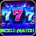 to day cricket match Pro Latest v2.8.1
